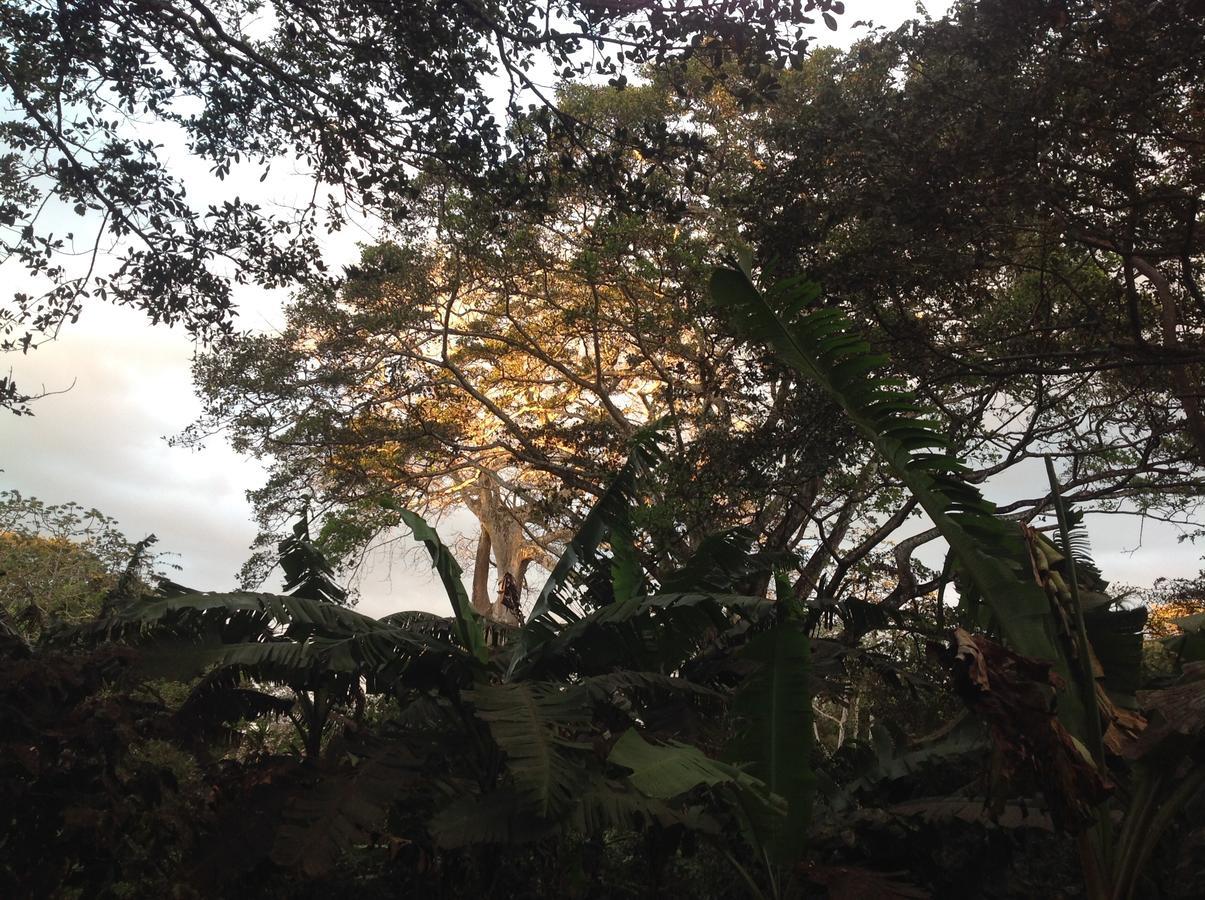 Lodge Mombacho